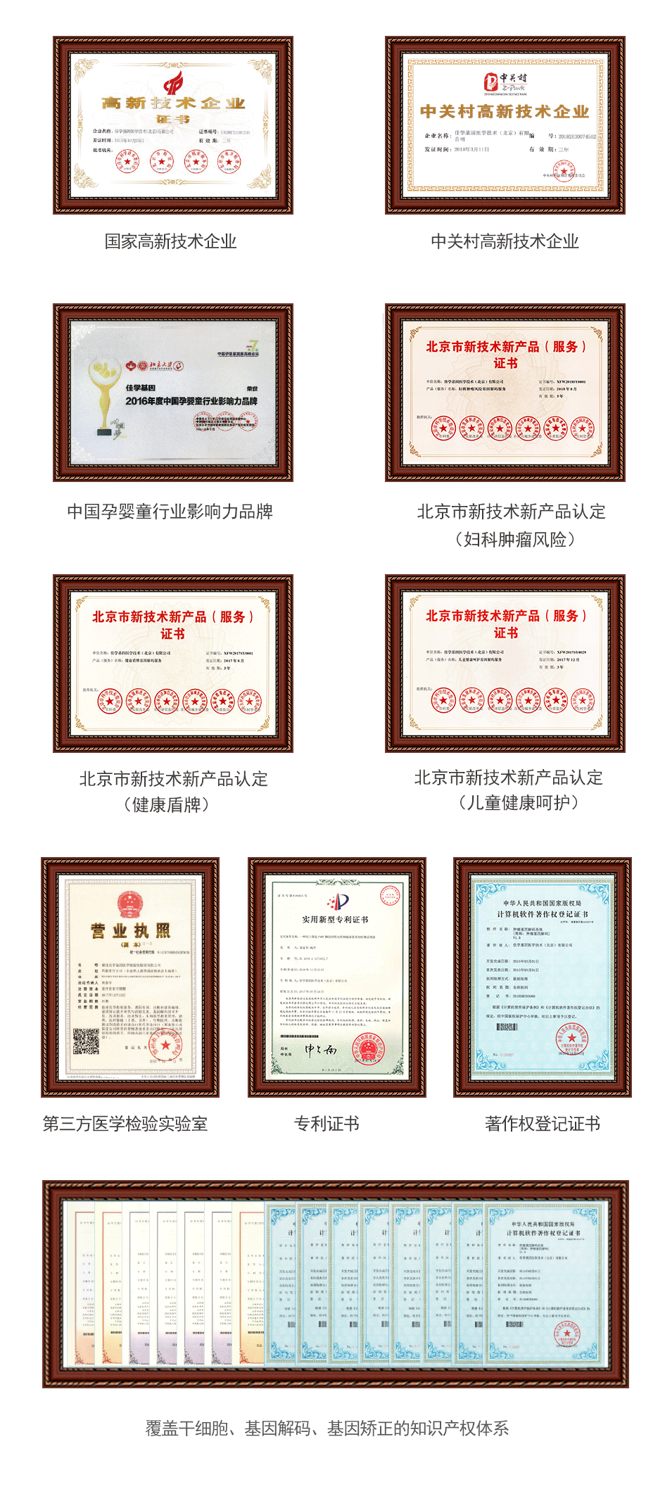 资质荣誉_2基因测试 